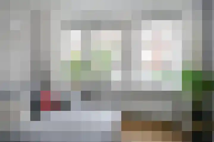 van Halewijnlaan 356 Voorburg thumbnail 4