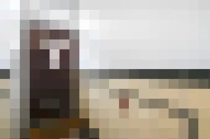 van Halewijnlaan 356 Voorburg thumbnail 42