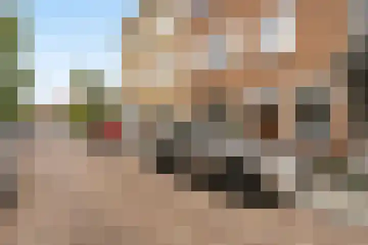 van Halewijnlaan 356 Voorburg thumbnail 44