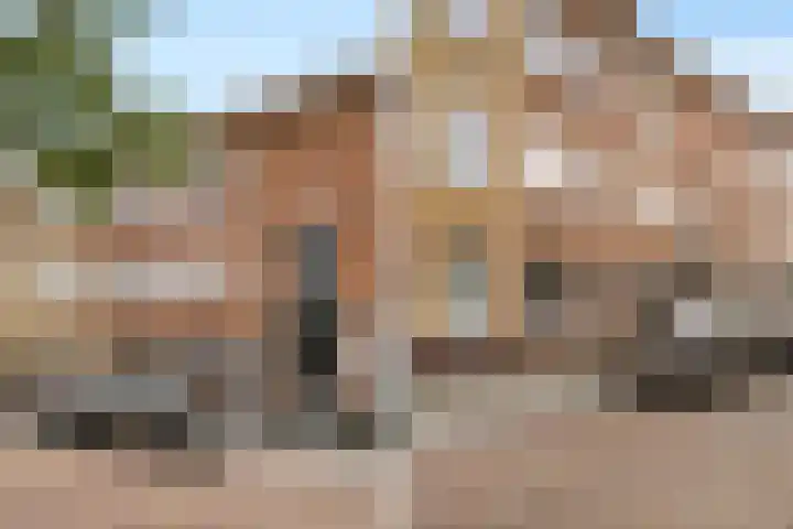 van Halewijnlaan 356 Voorburg thumbnail 45