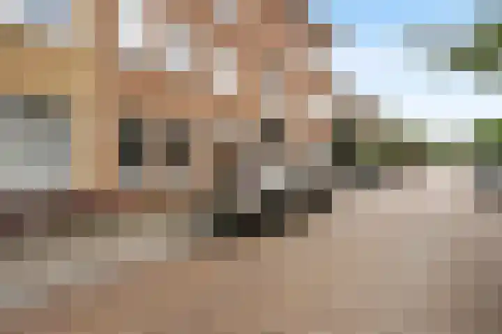 van Halewijnlaan 356 Voorburg thumbnail 46