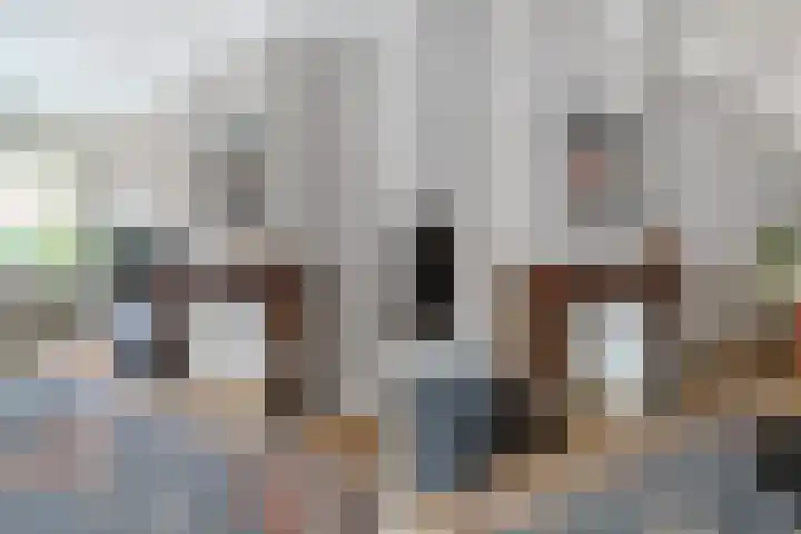 van Halewijnlaan 356 Voorburg thumbnail 5