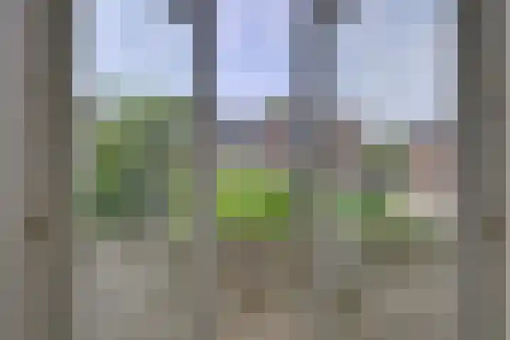 van Halewijnlaan 389 Voorburg thumbnail 12