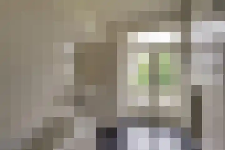van Halewijnlaan 389 Voorburg thumbnail 14