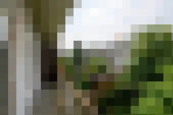 van Halewijnlaan 389 Voorburg thumbnail 17