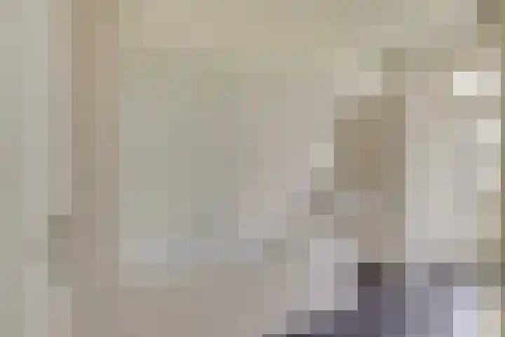 van Halewijnlaan 389 Voorburg thumbnail 4