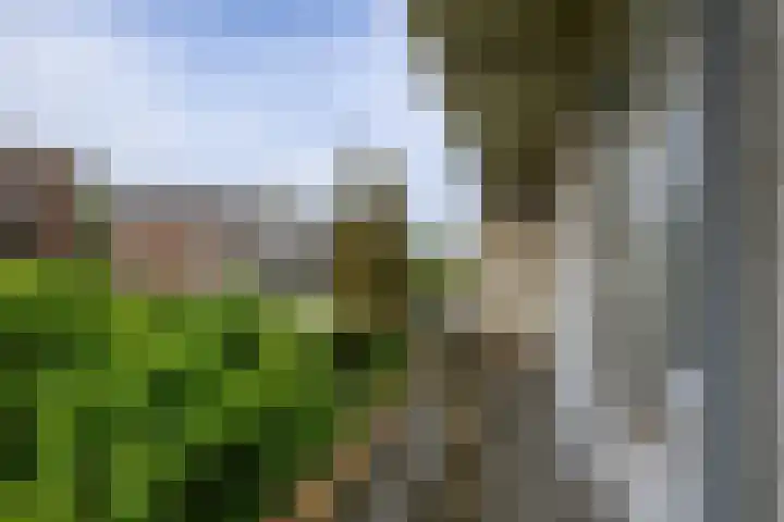 van Halewijnlaan 389 Voorburg thumbnail 5