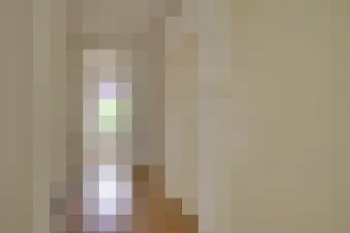 van Halewijnlaan 389 Voorburg thumbnail 7