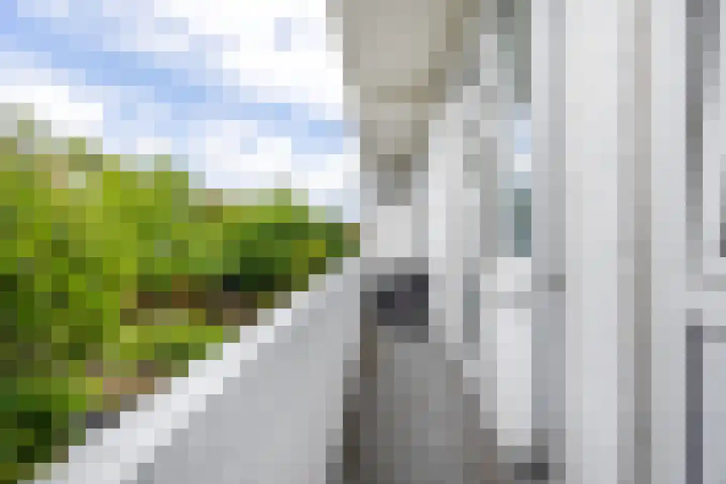 van Halewijnlaan 413 Voorburg thumbnail 14