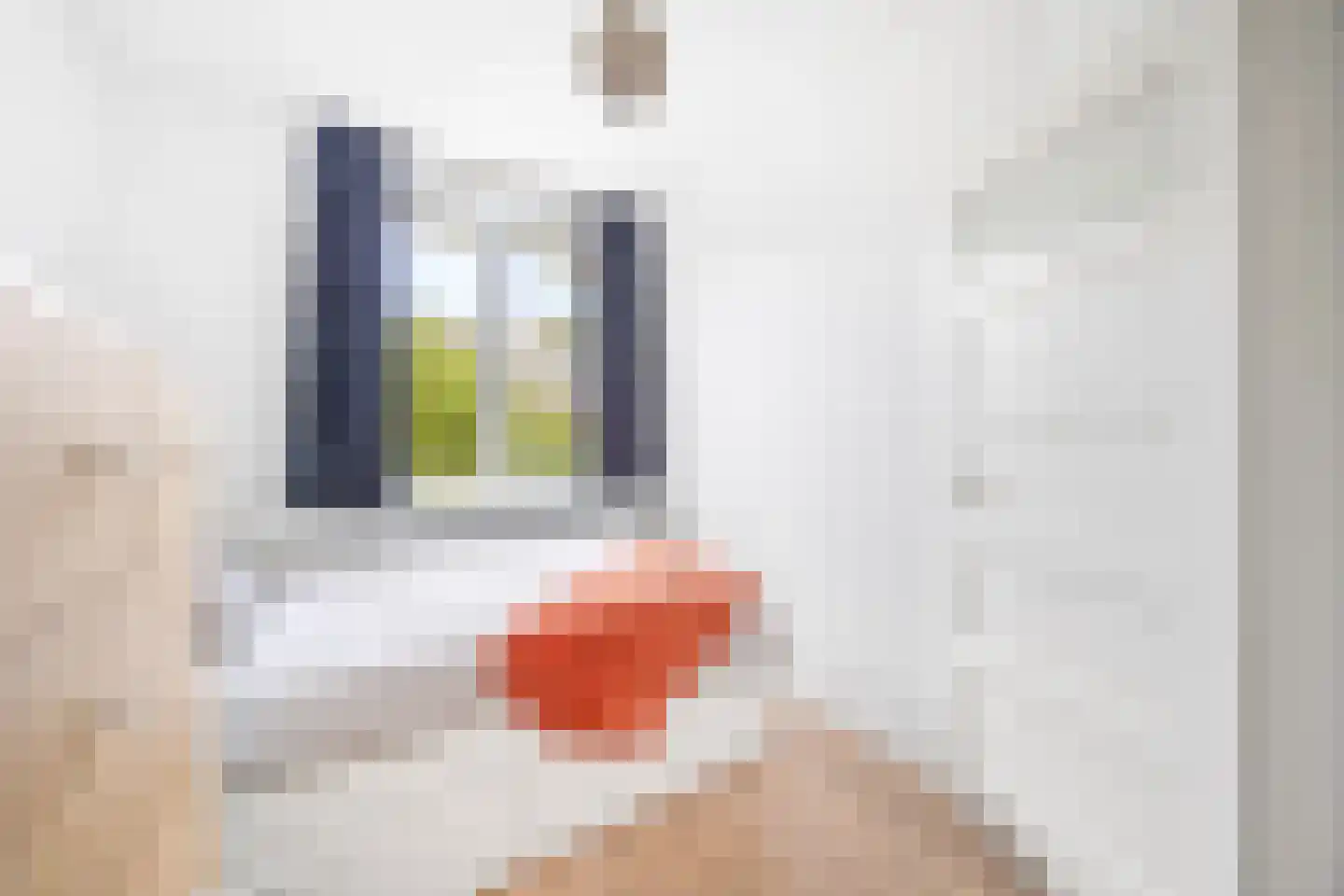 van Halewijnlaan 413 Voorburg thumbnail 16
