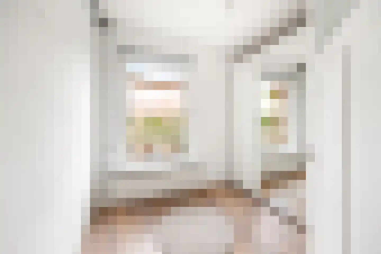 van Halewijnlaan 413 Voorburg thumbnail 18