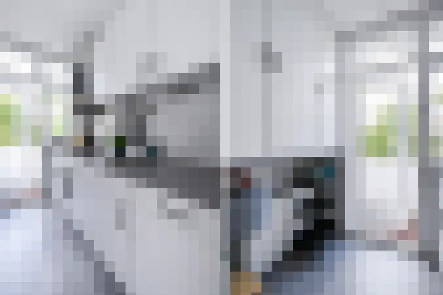 van Halewijnlaan 419 Voorburg thumbnail 20