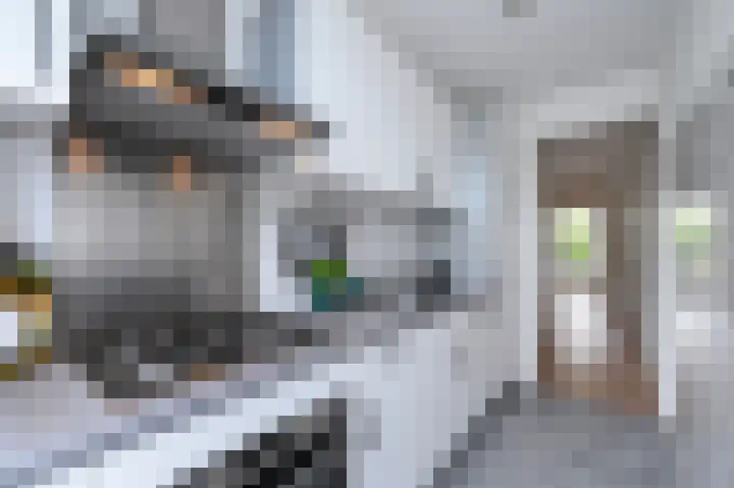 van Halewijnlaan 419 Voorburg thumbnail 21