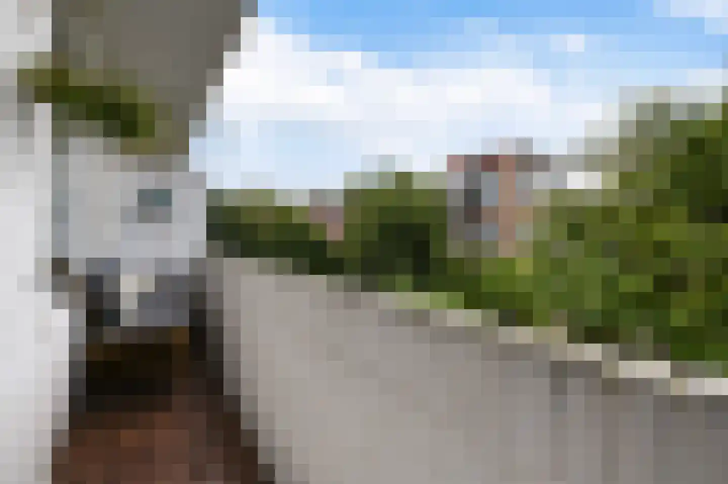 van Halewijnlaan 419 Voorburg thumbnail 22