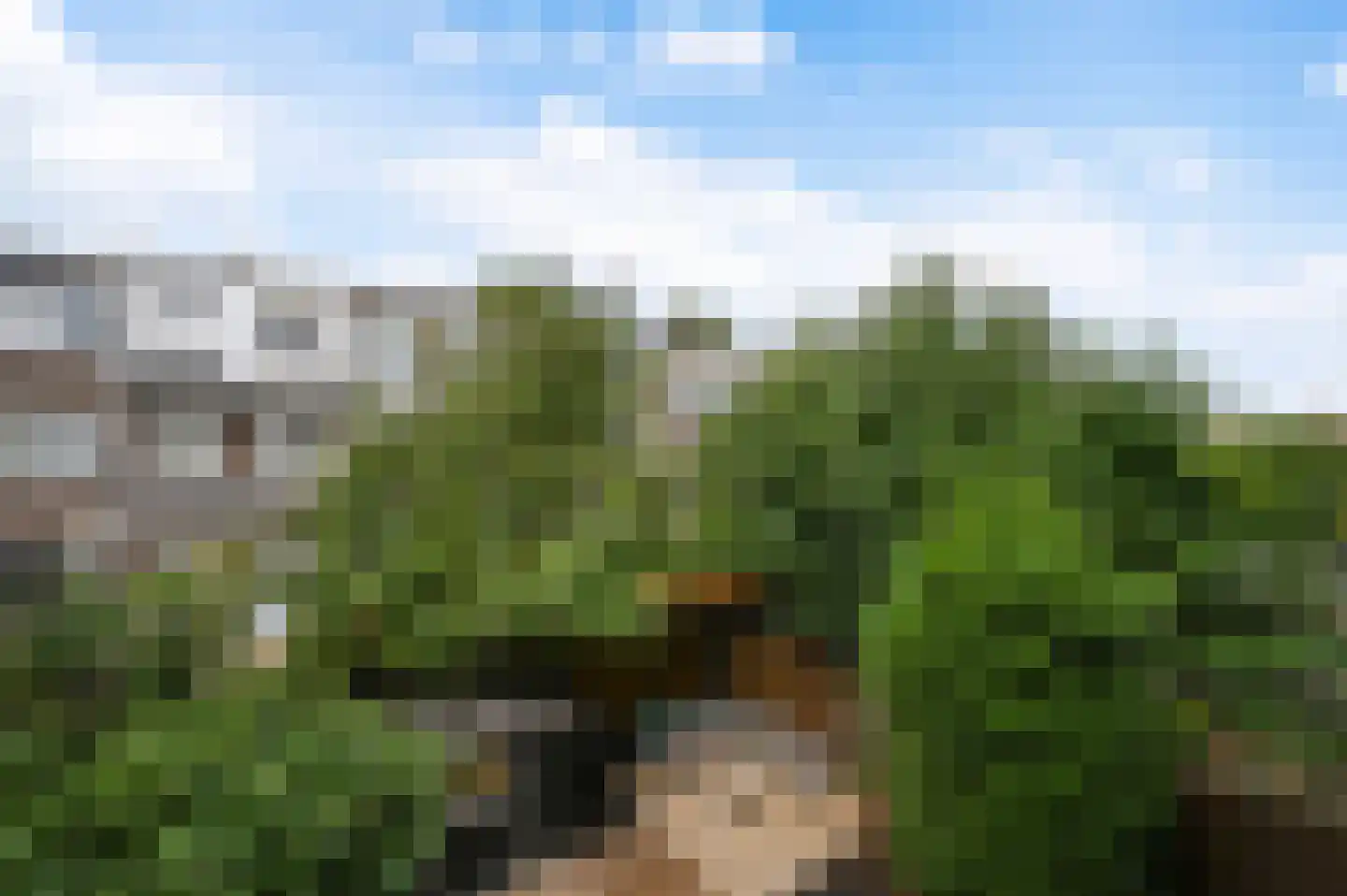 van Halewijnlaan 419 Voorburg thumbnail 24