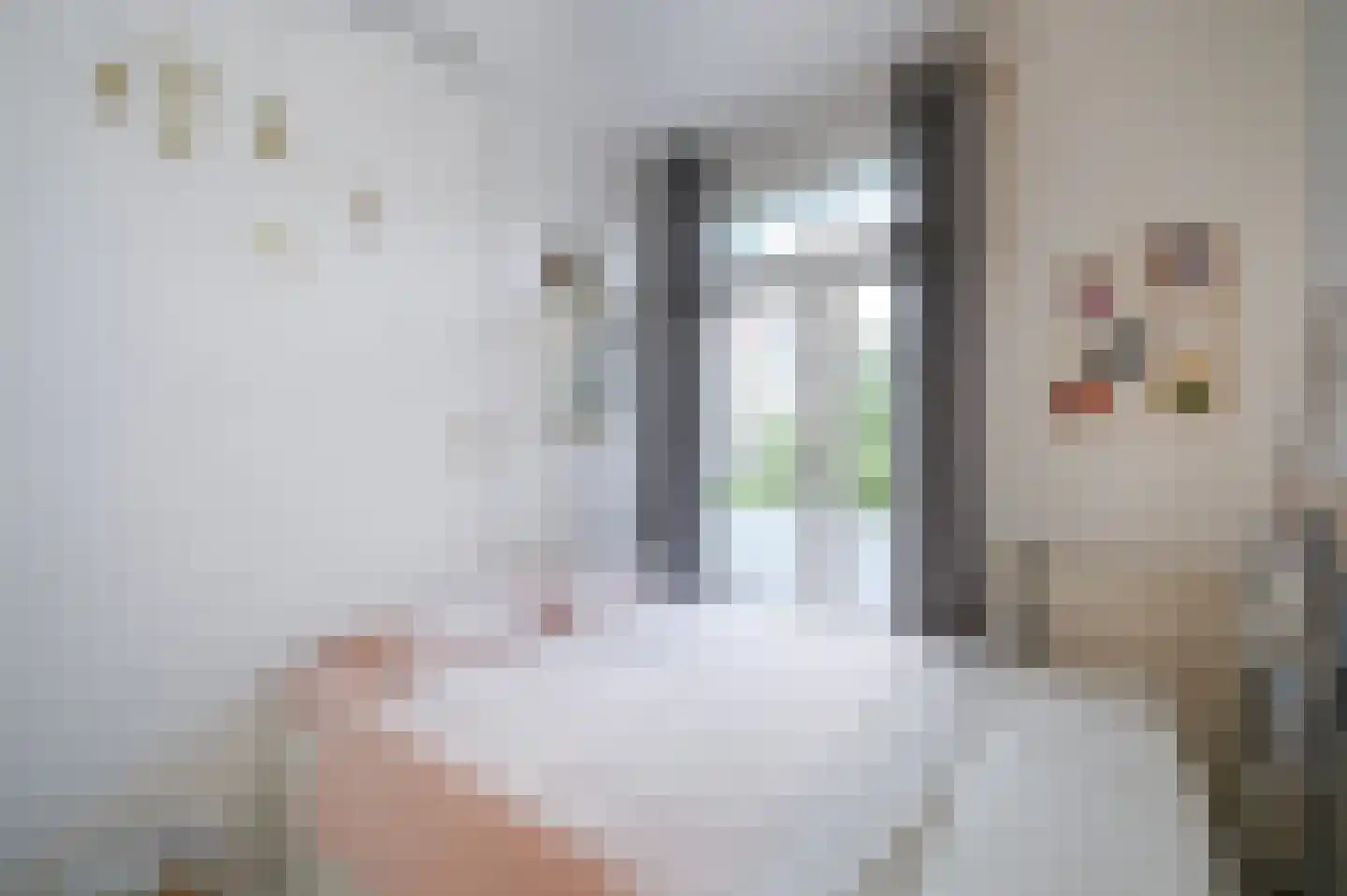 van Halewijnlaan 419 Voorburg thumbnail 25