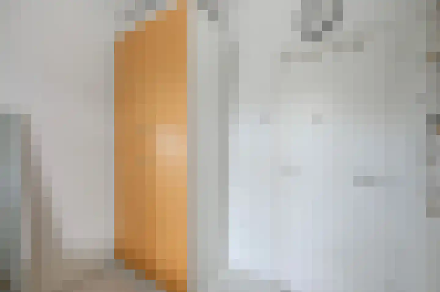 van Halewijnlaan 419 Voorburg thumbnail 27