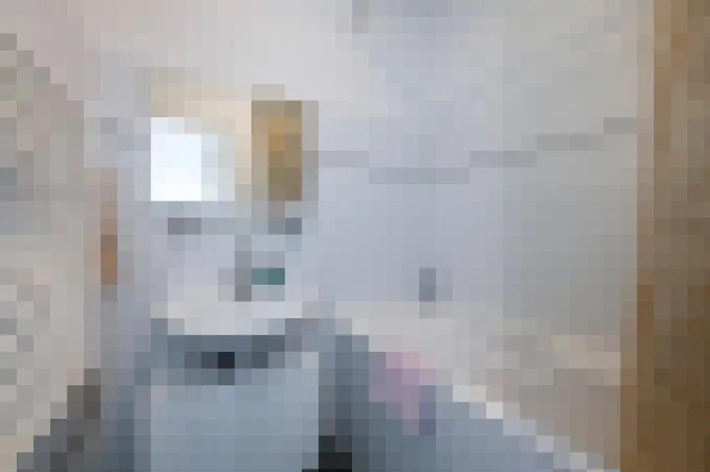 van Halewijnlaan 419 Voorburg thumbnail 28