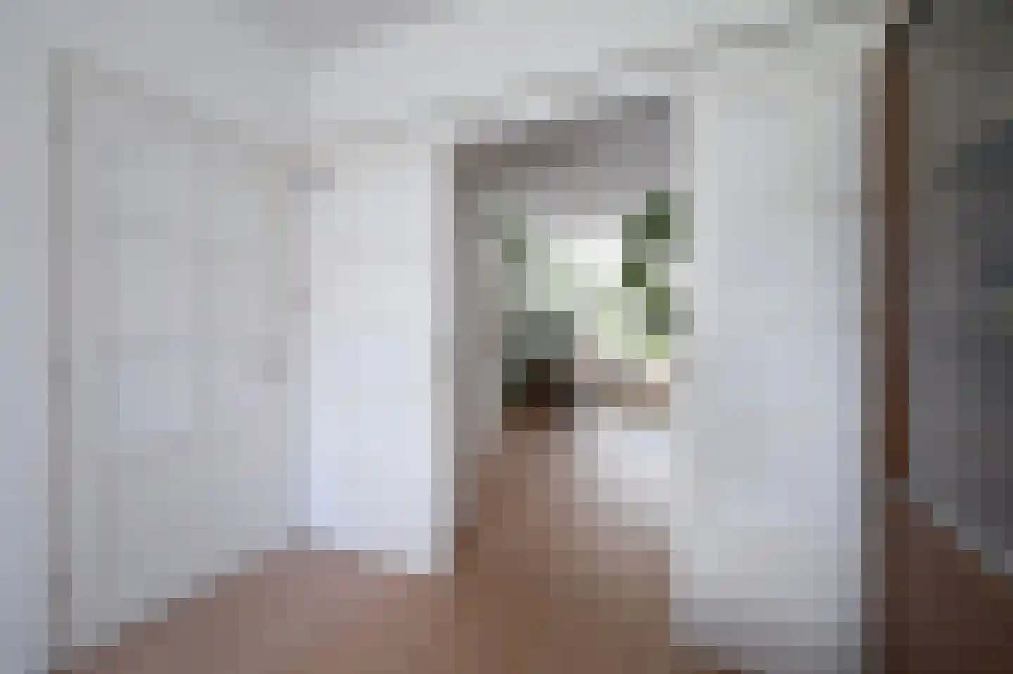 van Halewijnlaan 419 Voorburg thumbnail 7