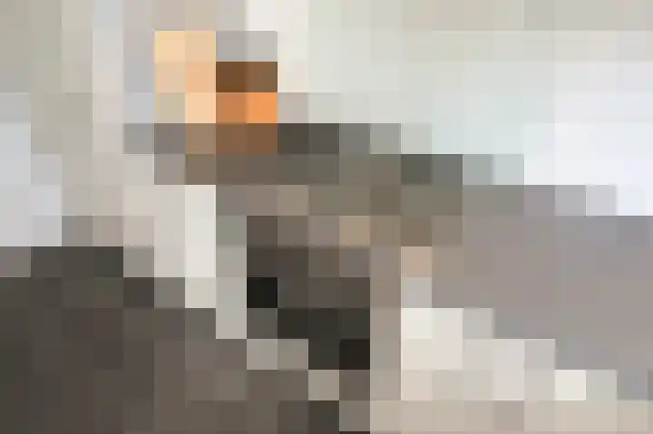 van Halewijnlaan 435 Voorburg thumbnail 16