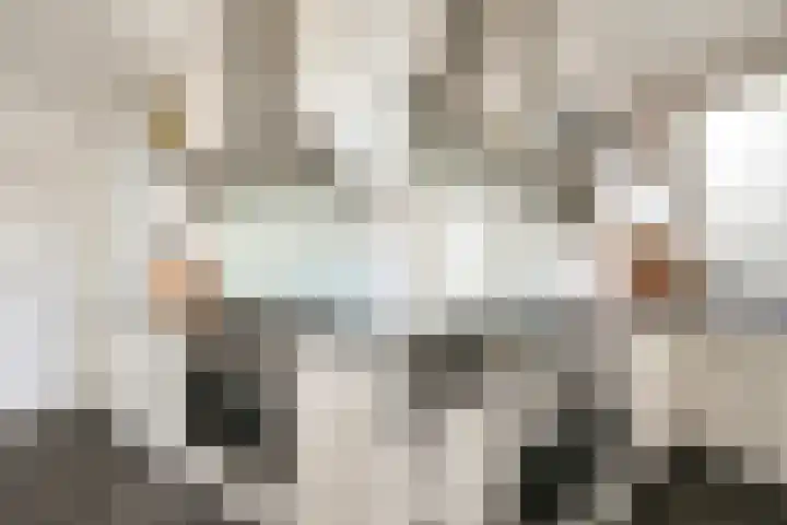 van Halewijnlaan 435 Voorburg thumbnail 18