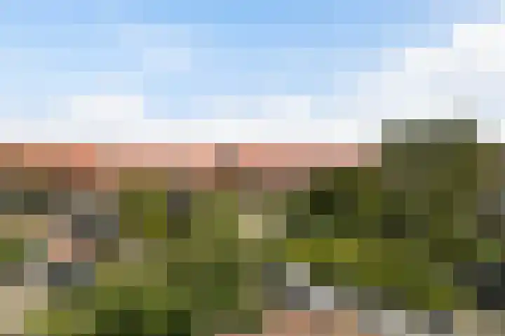 van Halewijnlaan 435 Voorburg thumbnail 30