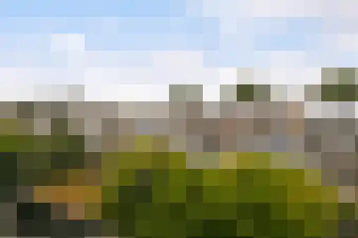 van Halewijnlaan 435 Voorburg thumbnail 31