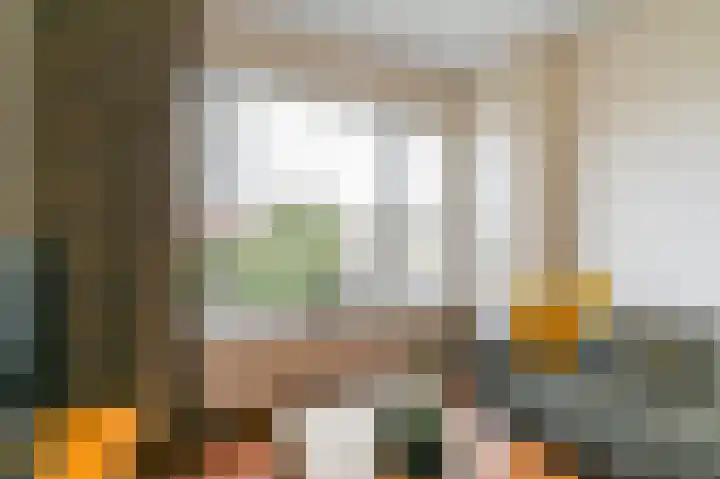 van Halewijnlaan 435 Voorburg thumbnail 8