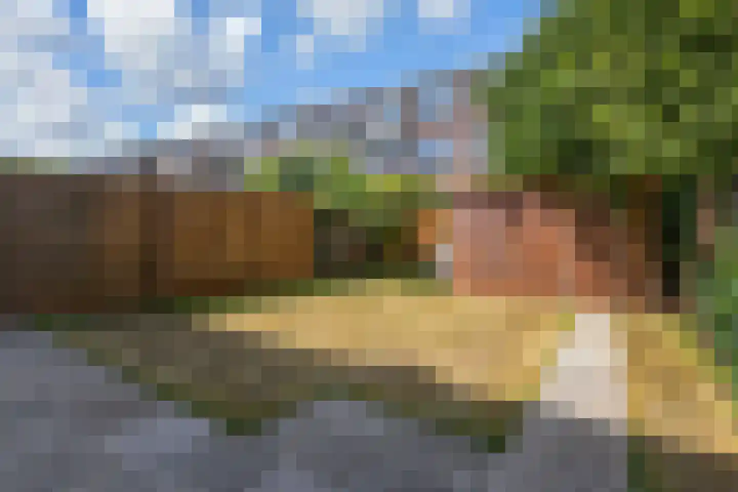 van Halewijnlaan 465 Voorburg thumbnail 11
