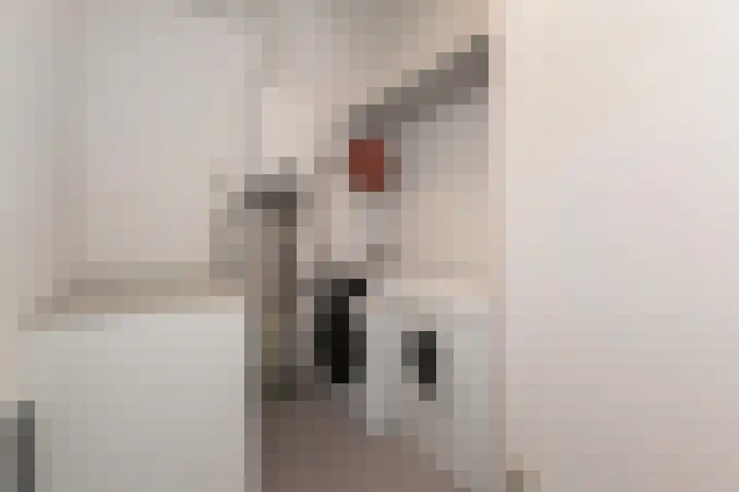 van Halewijnlaan 465 Voorburg thumbnail 26