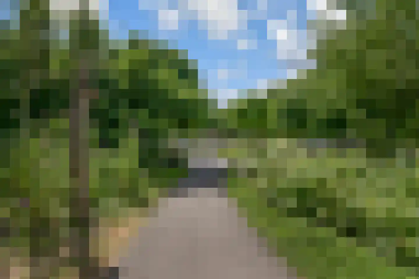 van Halewijnlaan 465 Voorburg thumbnail 38