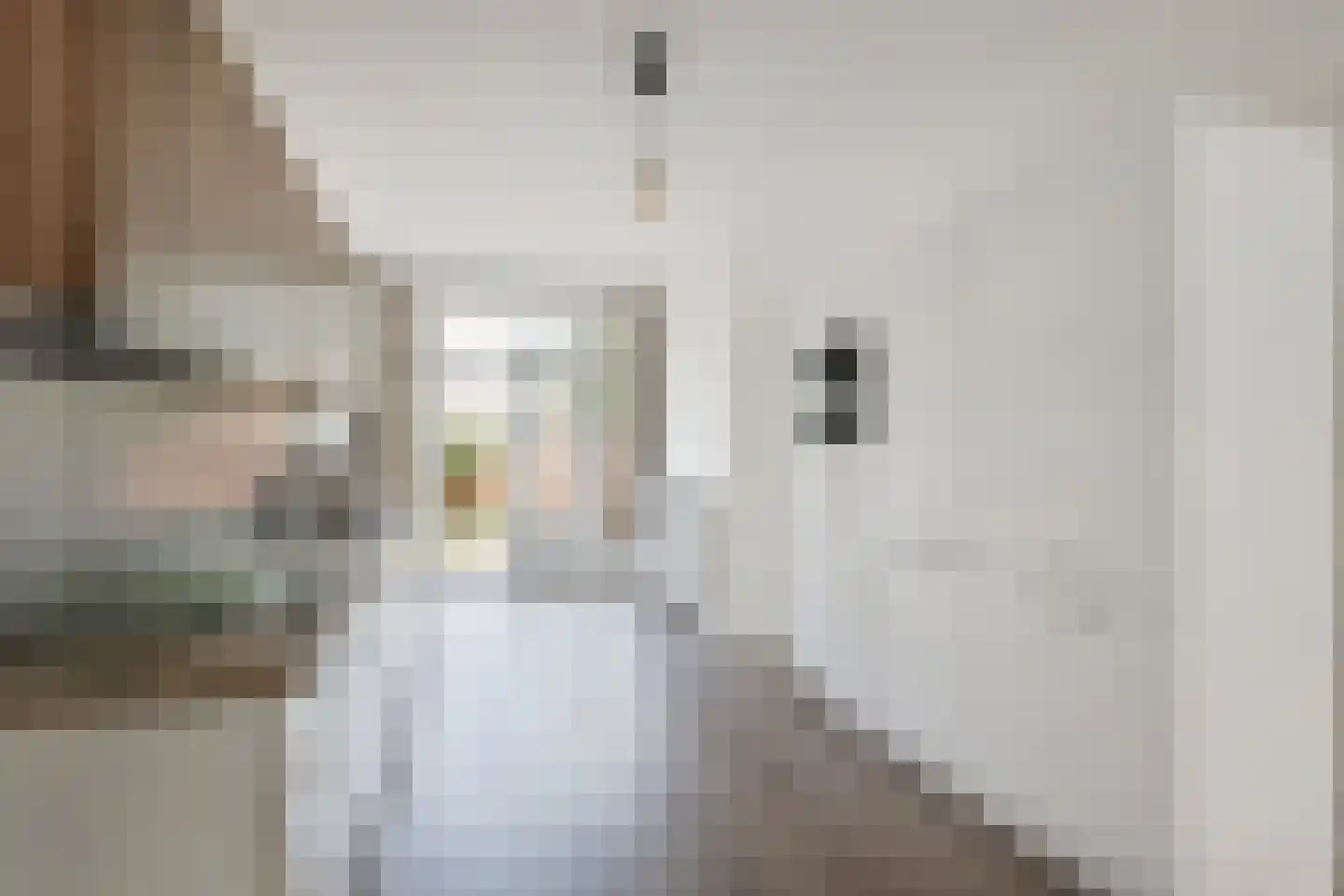 van Halewijnlaan 465 Voorburg thumbnail 9