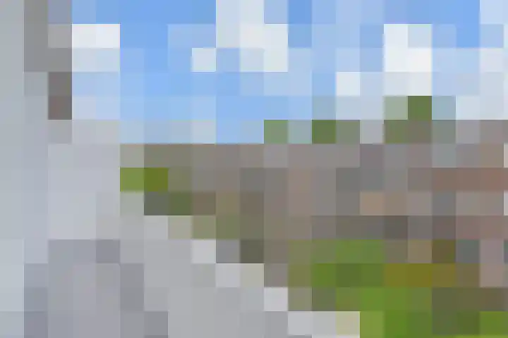van Halewijnlaan 469 Voorburg thumbnail 11