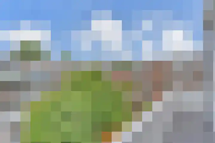 van Halewijnlaan 469 Voorburg thumbnail 12