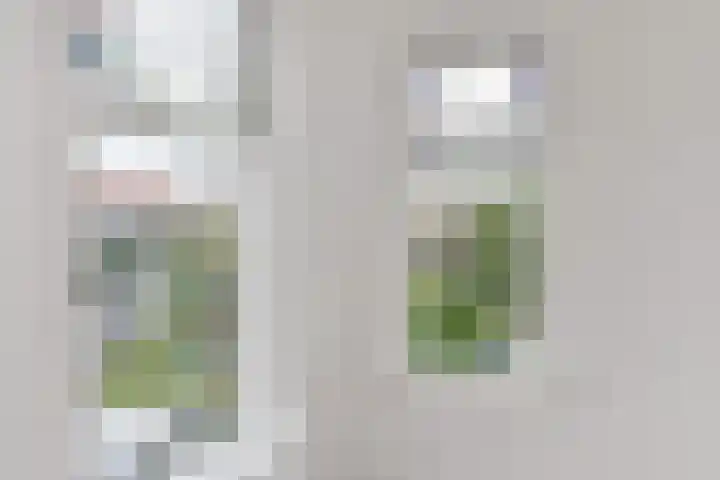 van Halewijnlaan 469 Voorburg thumbnail 18