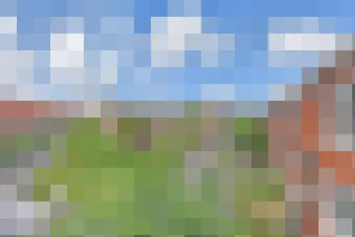 van Halewijnlaan 469 Voorburg thumbnail 19