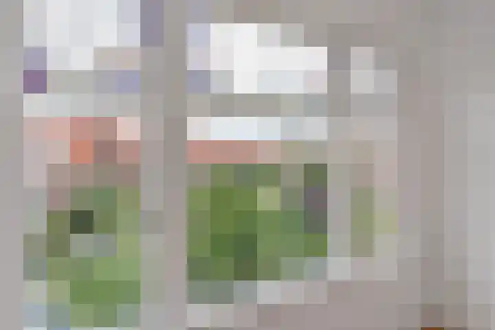 van Halewijnlaan 469 Voorburg thumbnail 6