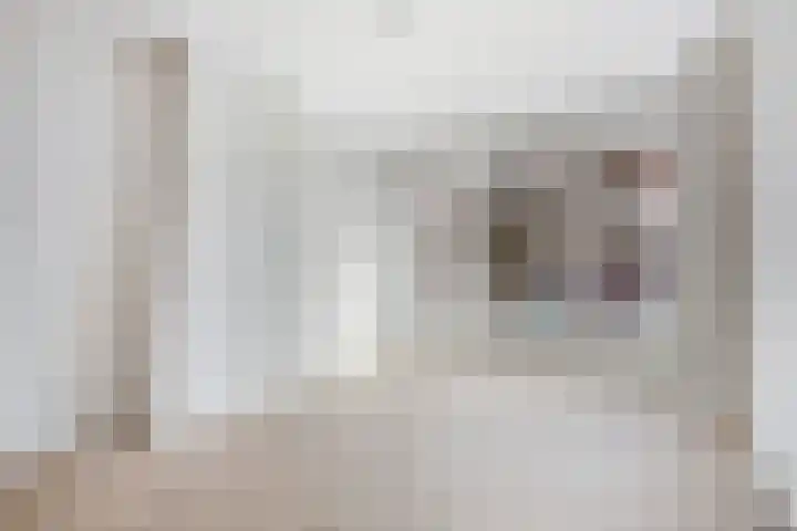van Halewijnlaan 473 Voorburg thumbnail 17