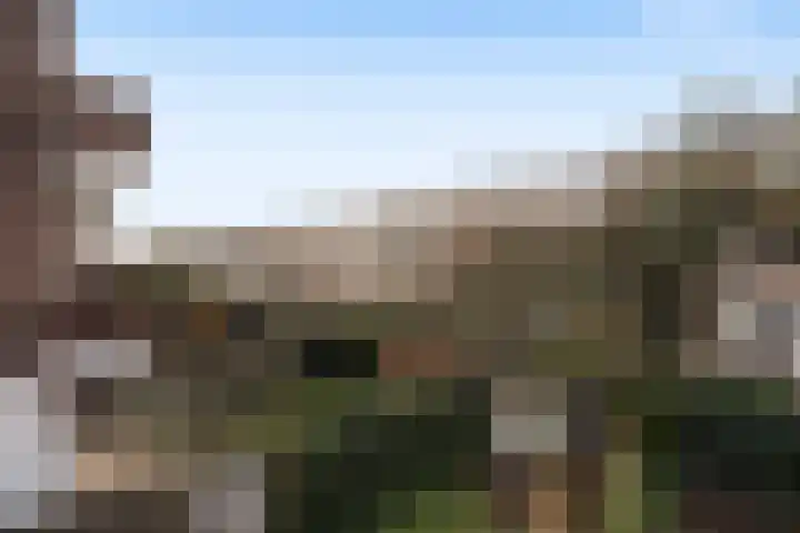 van Halewijnlaan 473 Voorburg thumbnail 34
