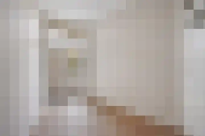 van Halewijnlaan 473 Voorburg thumbnail 48