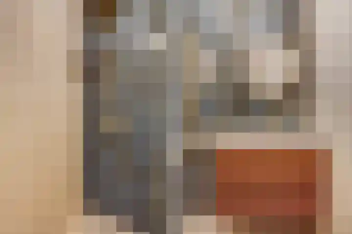 van Halewijnlaan 473 Voorburg thumbnail 53