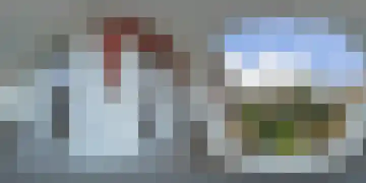 van Halewijnlaan 473 Voorburg thumbnail 65
