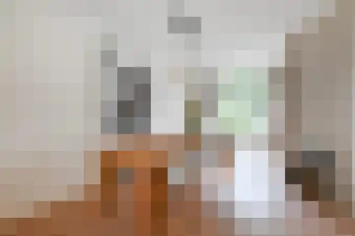 van Halewijnlaan 477 Voorburg thumbnail 16