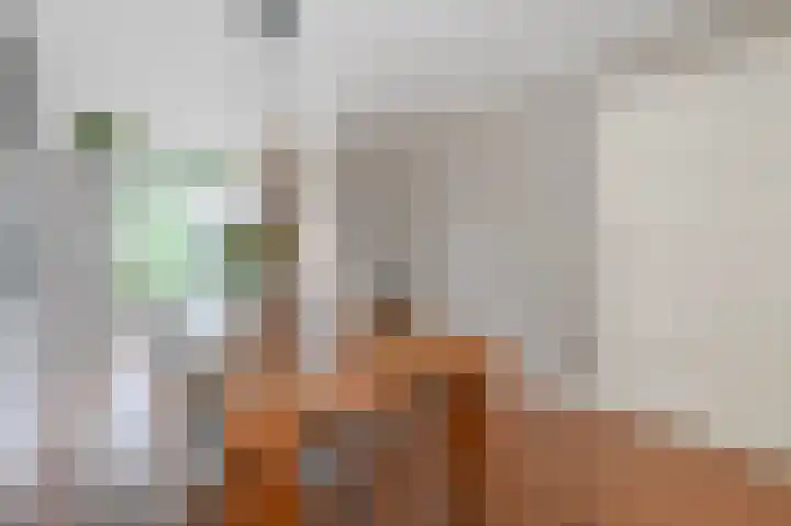 van Halewijnlaan 477 Voorburg thumbnail 17