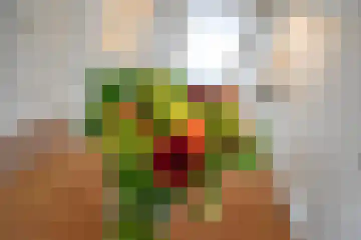 van Halewijnlaan 477 Voorburg thumbnail 19