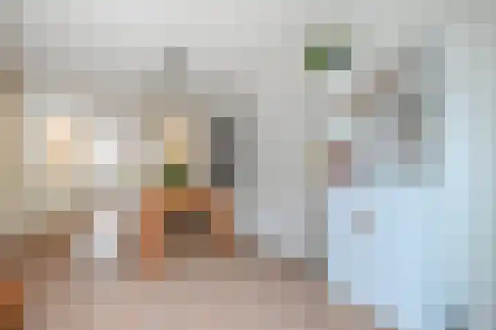van Halewijnlaan 477 Voorburg thumbnail 20
