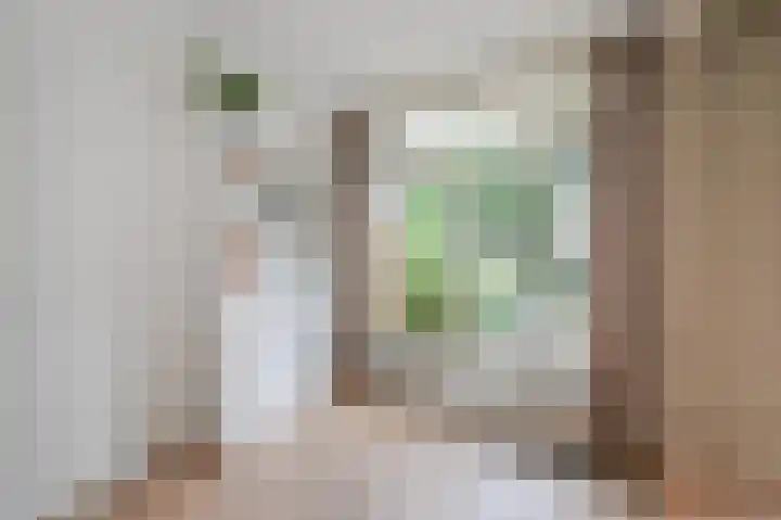 van Halewijnlaan 477 Voorburg thumbnail 22