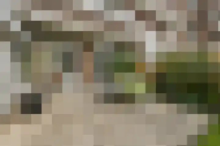 van Halewijnlaan 477 Voorburg thumbnail 23