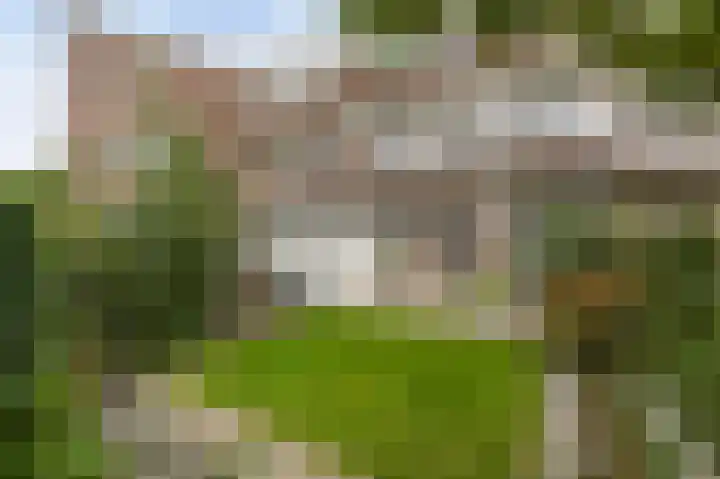 van Halewijnlaan 477 Voorburg thumbnail 24