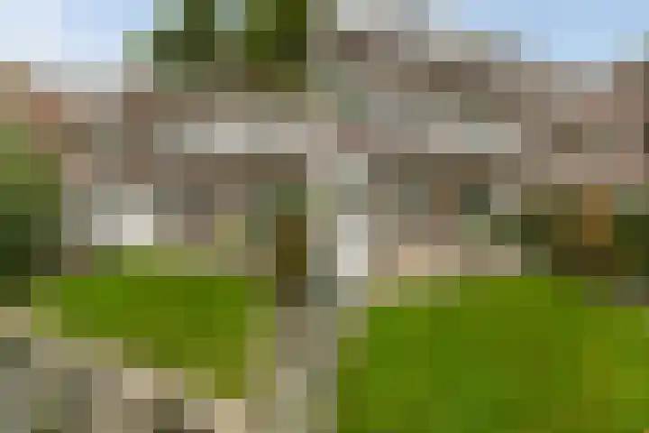 van Halewijnlaan 477 Voorburg thumbnail 25